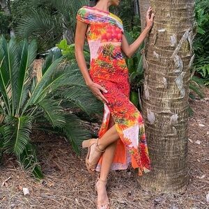 Zara picante peppers fruit print farm tulle mesh stretchy midi dress